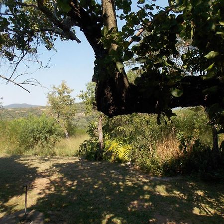 Leopard Tree Retreat Villa Mbombela Bagian luar foto