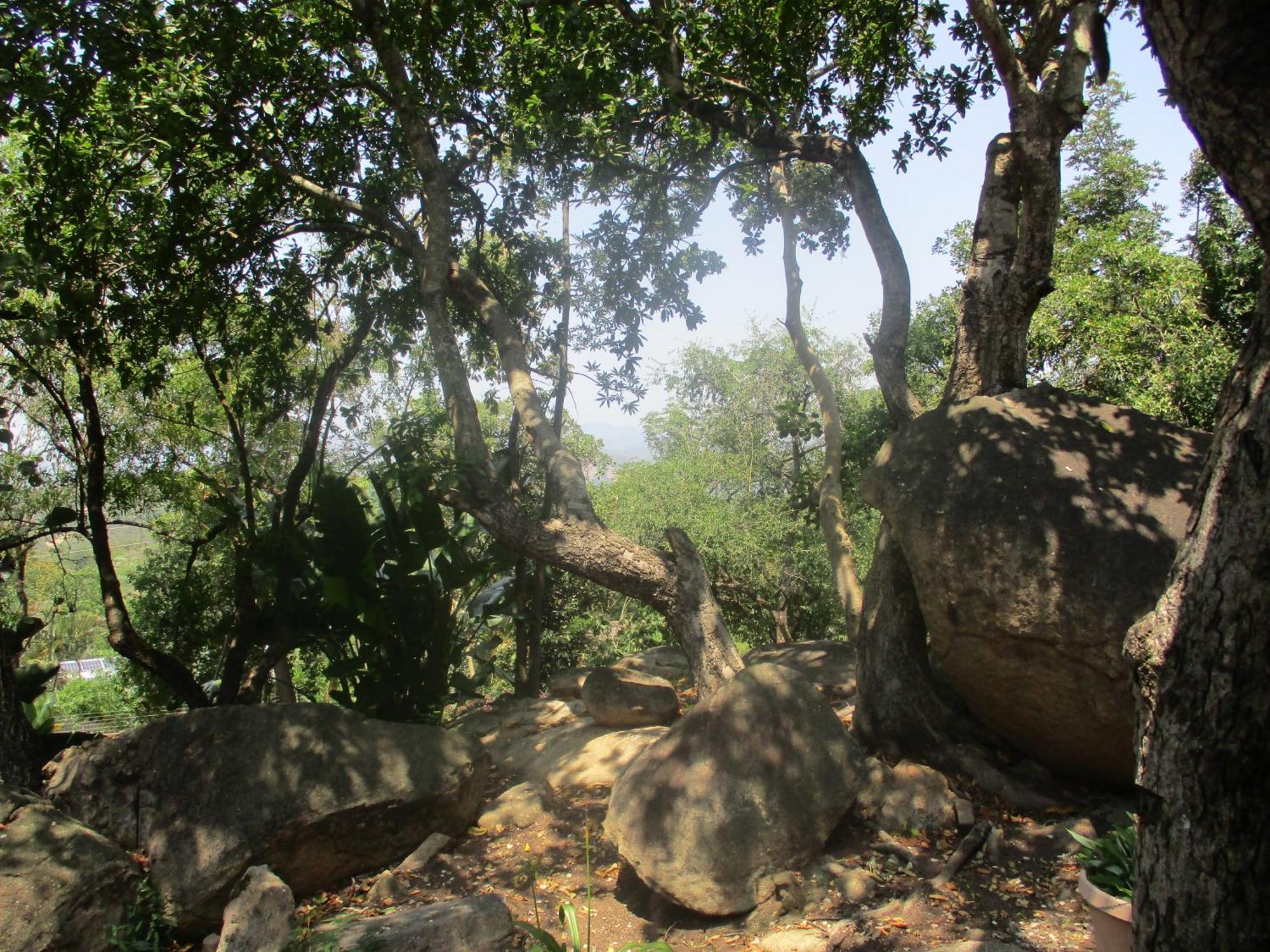 Leopard Tree Retreat Villa Mbombela Bagian luar foto