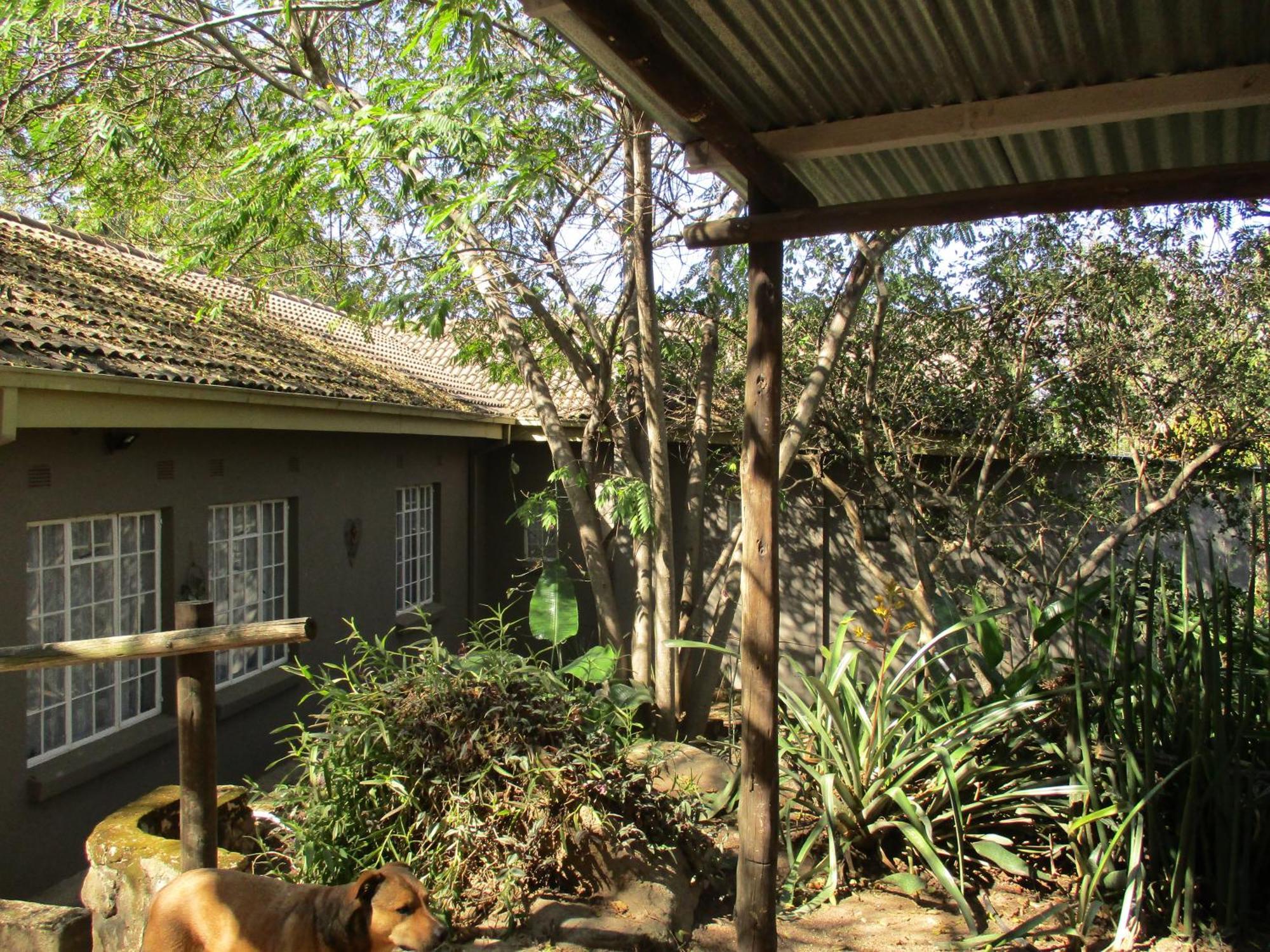 Leopard Tree Retreat Villa Mbombela Bagian luar foto